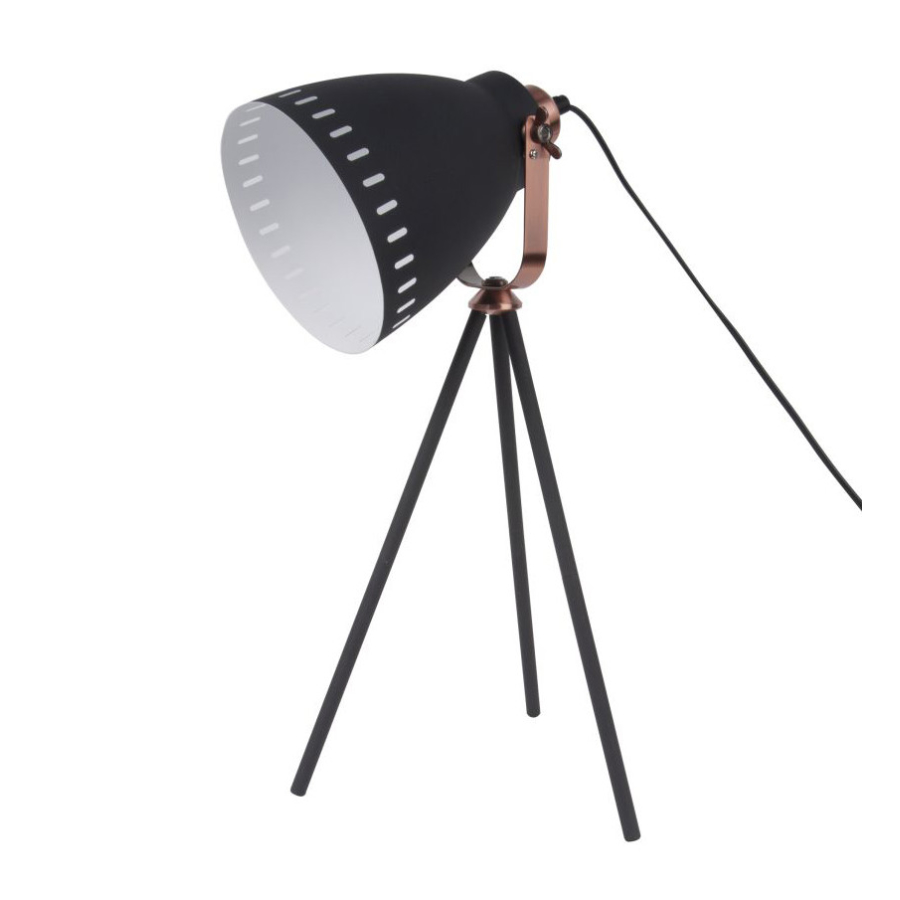 Lampen & Leuchten 