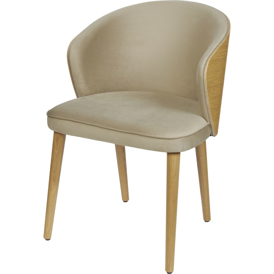 Möbel & Einrichtungsgegenstände 