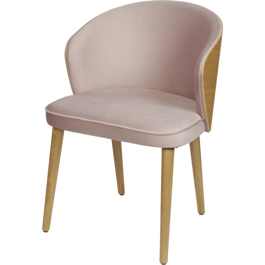 Möbel & Einrichtungsgegenstände 